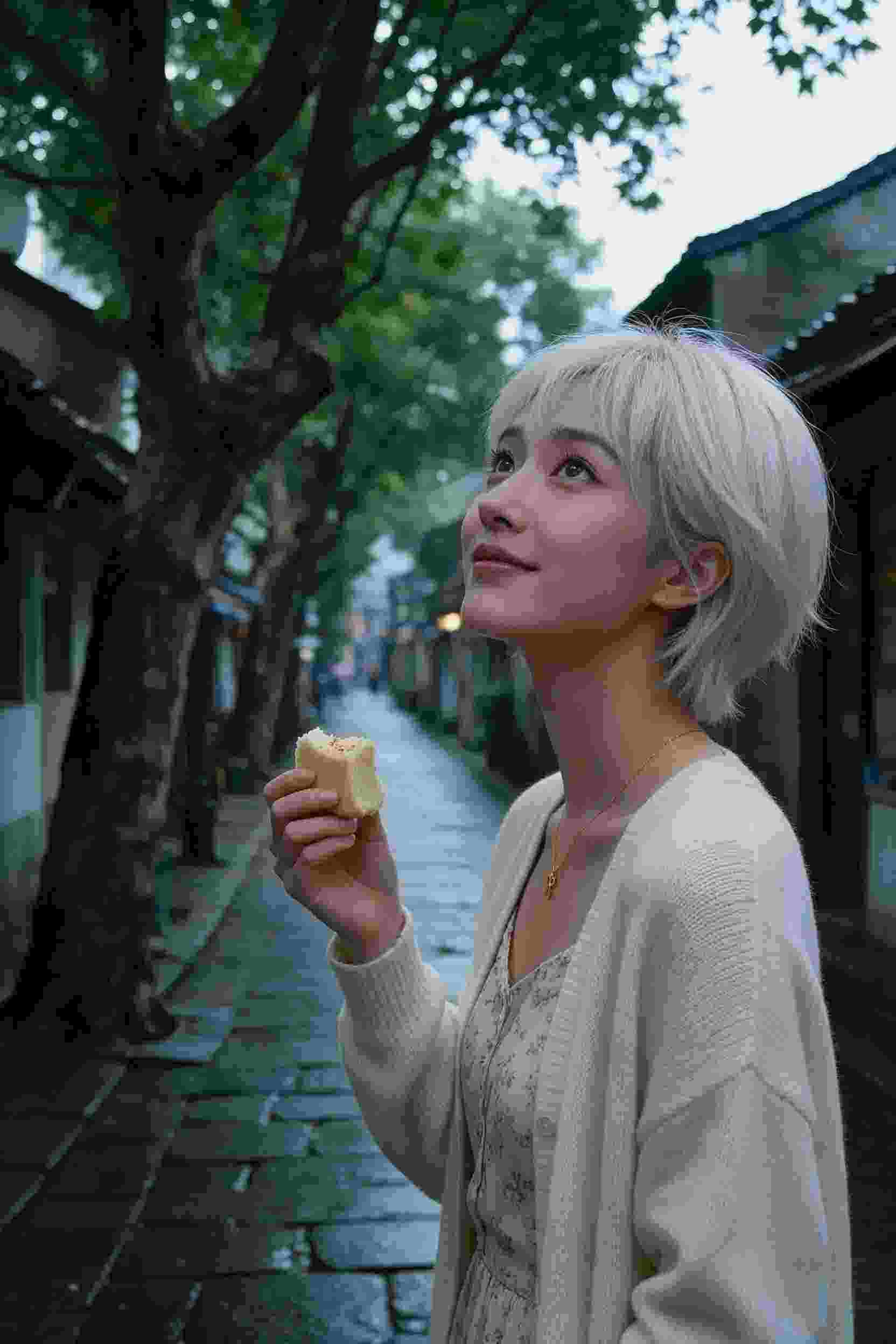 青葱岁月